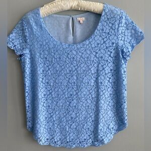 Aritzia Talula lace short sleeve blouse